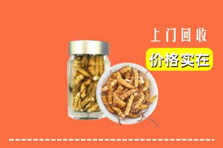 收购资讯:黔南龙里县回收散虫草