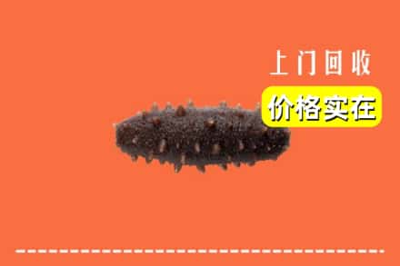 收购资讯:黔南龙里县回收海参